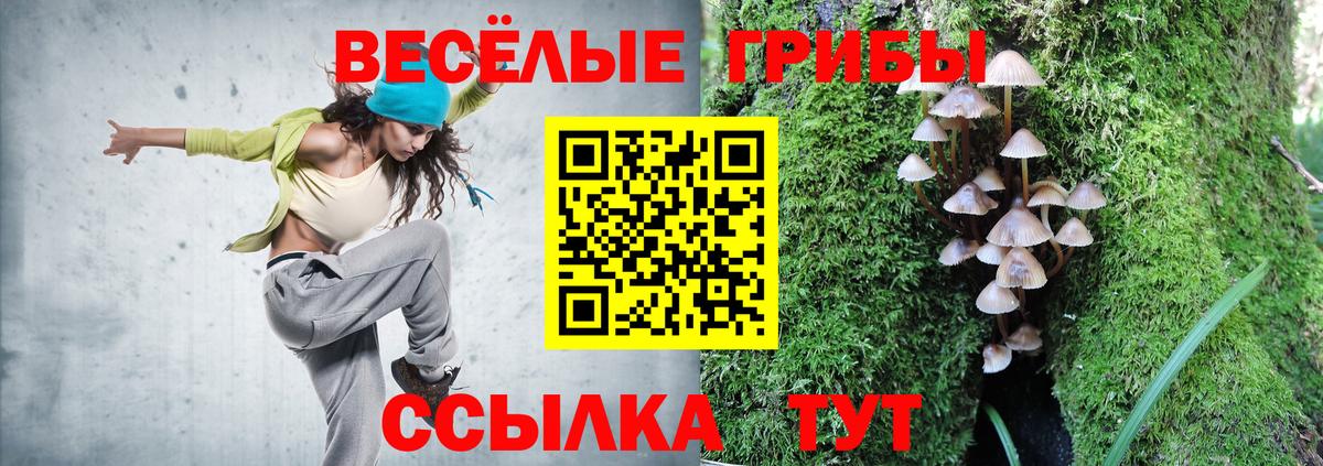 Галлюциногенные грибы Cubensis Губкин