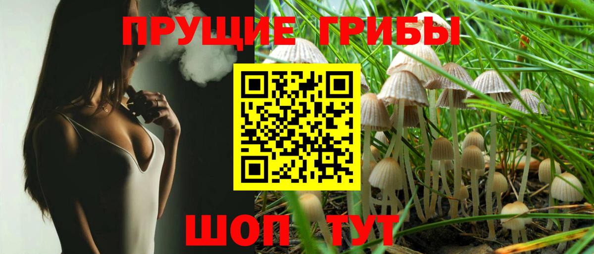 Галлюциногенные грибы Psilocybe  Вход с VPN  Губкин 
